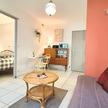 Le Nid Des Landes, T2, Lave-linge, Tv, Wifi Apartment Tours